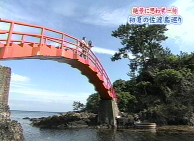絶景に思わず一句