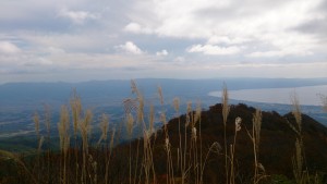 wpid-dsc_0323.jpg