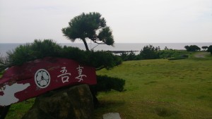 wpid-wp-1436422426516.jpeg