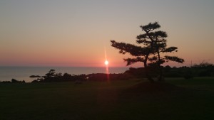 wpid-wp-1436523272433.jpeg