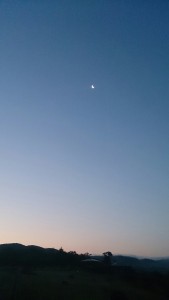 wpid-wp-1436558073323.jpeg