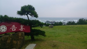 wpid-wp-1436862215696.jpeg