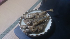 wpid-wp-1437602797930.jpeg