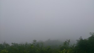 wpid-wp-1438129707831.jpeg