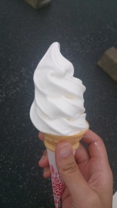 wpid-wp-1438129711887.jpeg