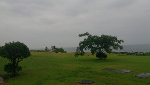 wpid-wp-1440144160902.jpeg