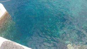 wpid-wp-1440311179896.jpeg