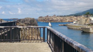 wpid-wp-1440311182985.jpeg