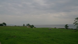 wpid-wp-1441269333618.jpeg