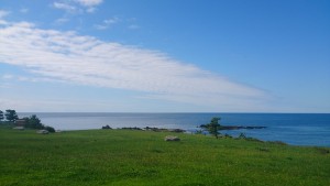 wpid-wp-1442360283483.jpeg