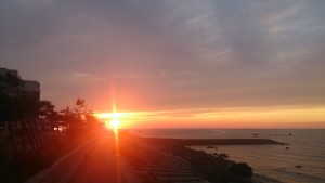 wpid-wp-1442614799912.jpeg