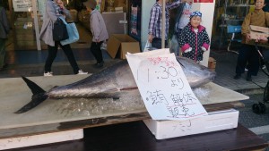 wpid-wp-1445081148787.jpeg