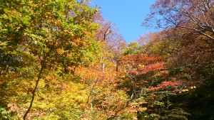 wpid-wp-1445552199451.jpeg