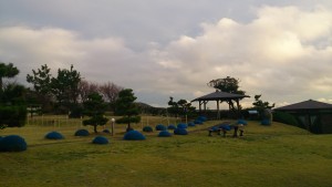 wpid-wp-1448002620305.jpeg