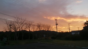 wpid-wp-1448841946213.jpeg