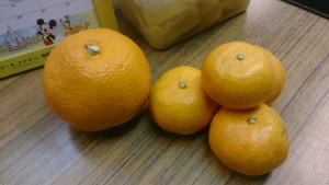 wp-1451775799713.jpeg