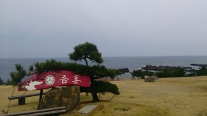 wp-1455957245699.jpeg