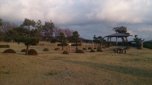 wp-1457955311148.jpeg