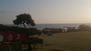 wp-1460190880048.jpeg