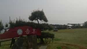 wp-1462177599227.jpeg