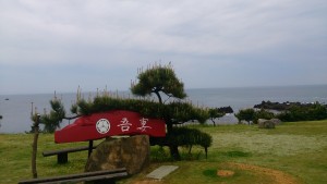 wp-1462506014637.jpeg