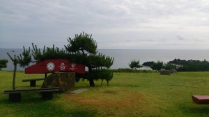 wp-1465889557449.jpeg