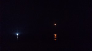 wp-1471161036662.jpeg