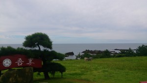 wp-1475197531473.jpeg