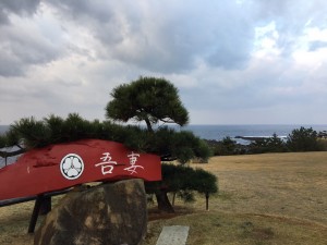 img_1493.jpg