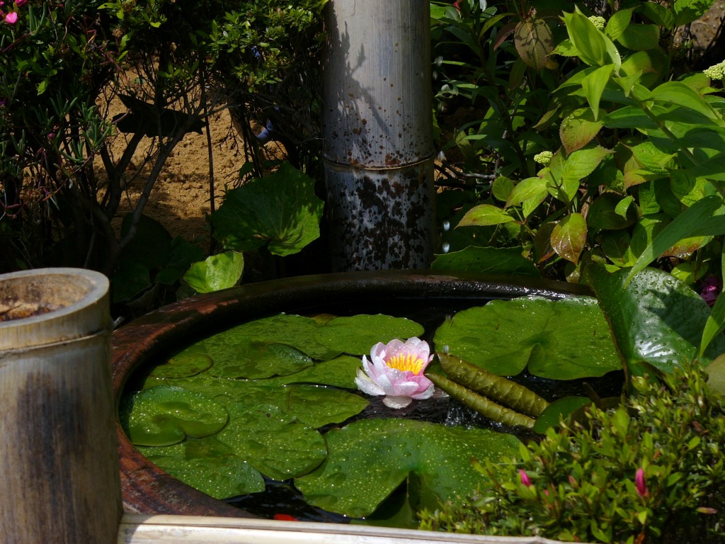 2009_0528_1000_43_1