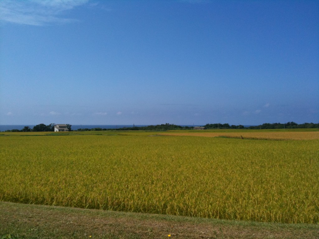 2009_0908_1300_06_1