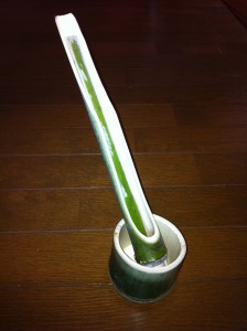 2011_0413_0930_42_1