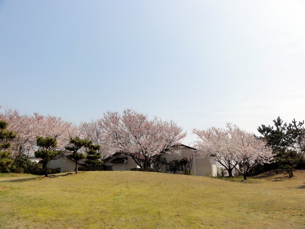 2014_0416_1326_40_1